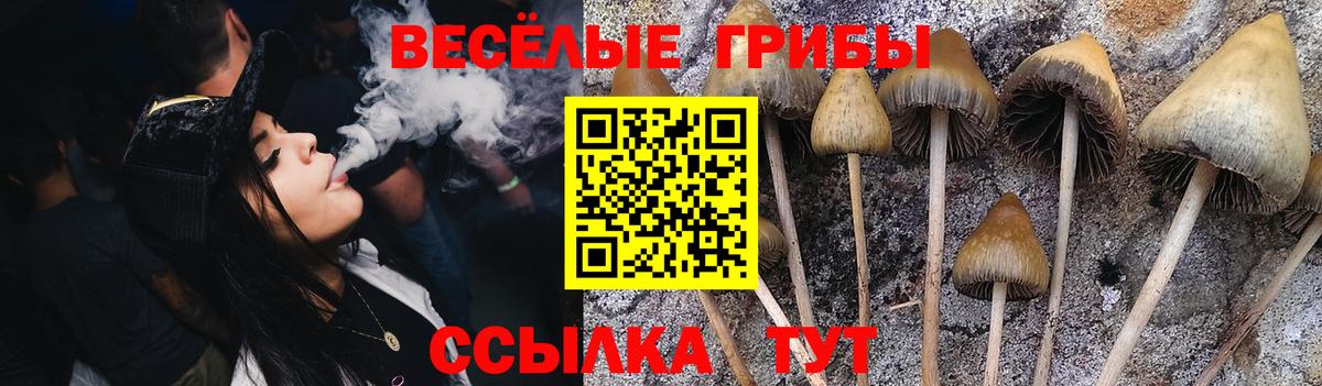 Псилоцибиновые грибы мухоморы Казань