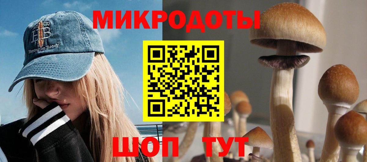 Галлюциногенные грибы Cubensis  Псилоцибиновые грибы Cubensis  Вход с VPN  Казань 