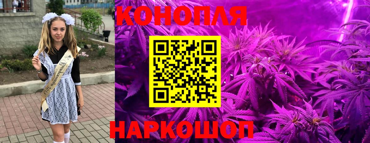 Псилоцибиновые грибы Казань